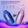 Vape PB02 7000puffs Durable Battery 14ml Liquid Juice Flavors 