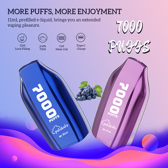 Oem PB02 7000puffs durable battery 14ml Flavors Rechargeable Mesh Coil