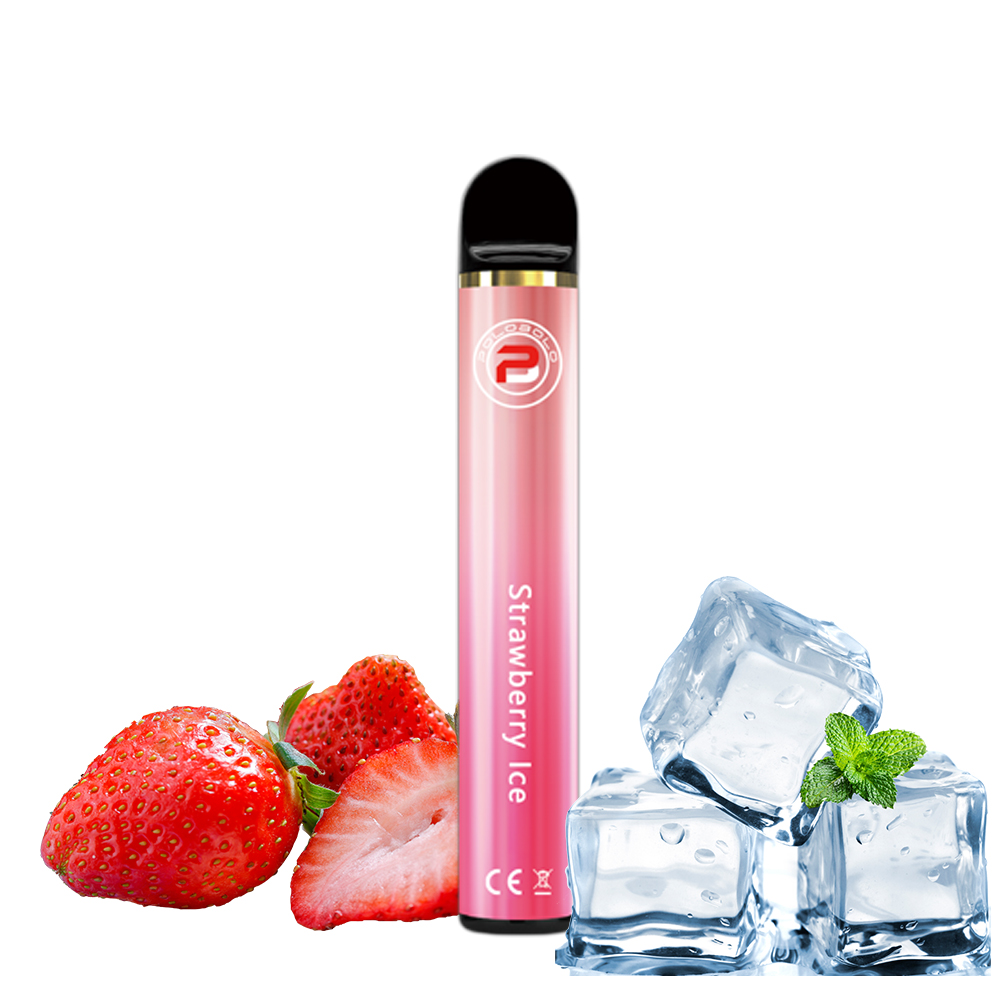 Hot E-Cigarette Shisha Pen 800puff Disposable Electronic Vape Puff Bar